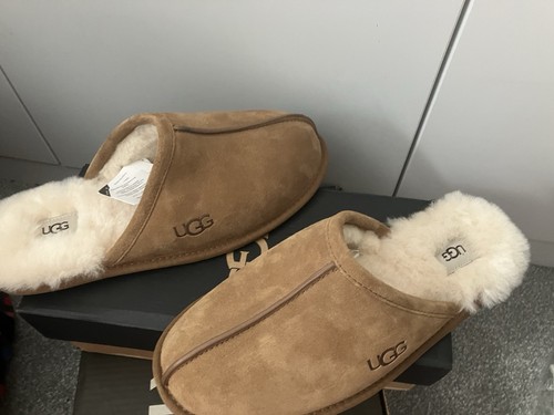 Pantofole ugg castagno scuff - pantofole,