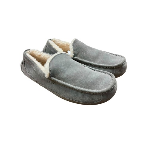 Ugg ascot ciabatte - ugg,