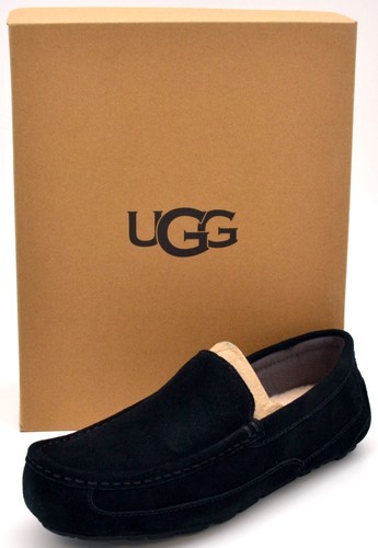 Ugg pantofole uomo ascot - ugg, |