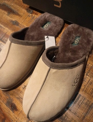 Ugg uomo semi senape - semi,