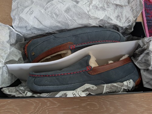 Ugg ascots edizione - ugg,