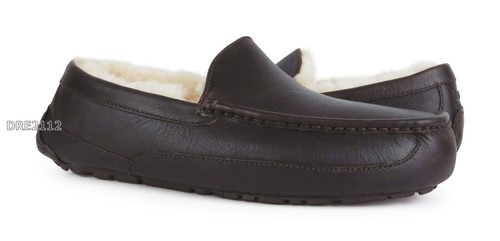 Ugg ascot china - tea, pantofole