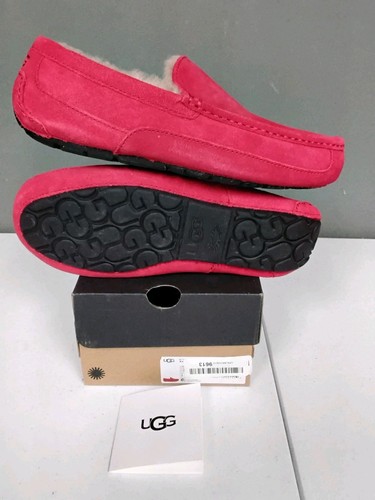Nuovo ugg ascot ciabatte uomo - ugg,