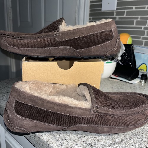Ugg ascot velluto coste - coste, ii
