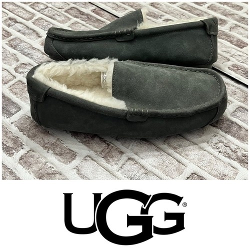 Ugg pantofole koolaburra - ugg,