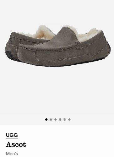 Ugg ascot ciabatta uomo - ascot,