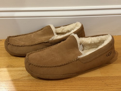 The ugg ciabatta - ascot, in