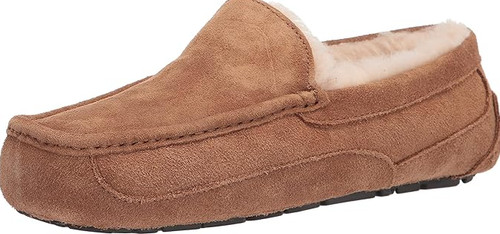 Ciabatta uomo ugg ascot - ciabatta, in